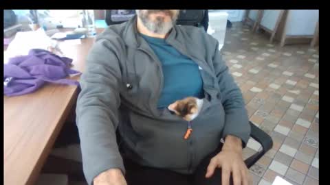 Bruchus online show from 11.25.25