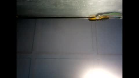 Warwick online show from 12.03.24