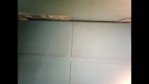 Warwick online show from 12.06.24