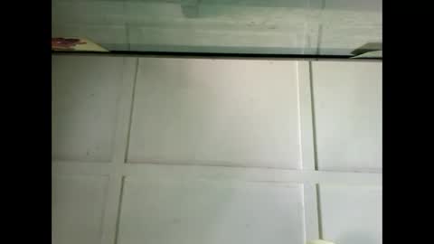 Warwick online show from 12.07.24