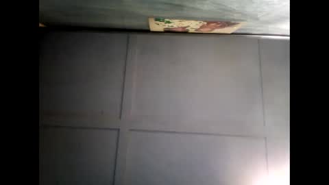 Warwick online show from 12.07.24