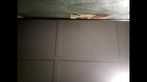 Warwick online show from 12.08.24