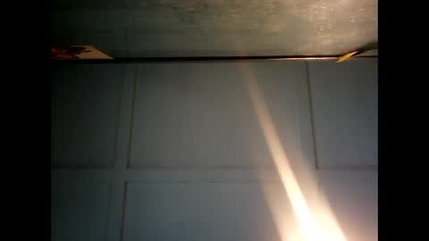 Warwick online show from 12.09.24