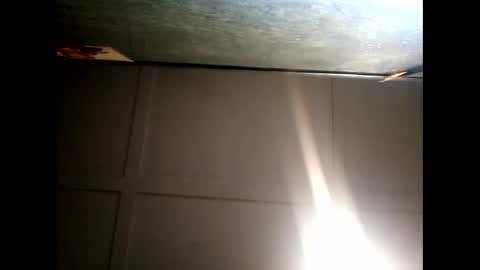 Warwick online show from 12.10.24