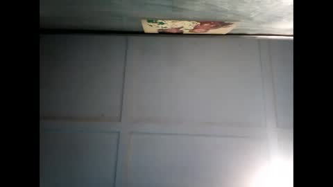 Warwick online show from 12.11.24