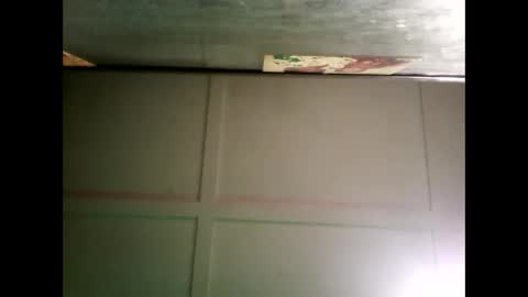 Warwick online show from 12.16.24