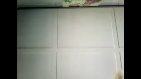 Warwick online show from 12.17.24