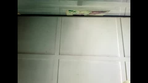 Warwick online show from 12.19.24