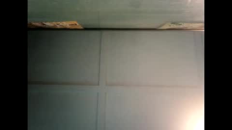 Warwick online show from 12.19.24