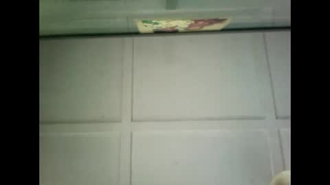 Warwick online show from 12.22.24