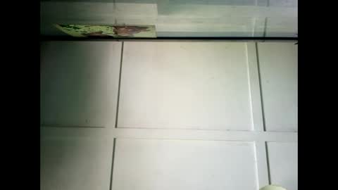 Warwick online show from 12.23.24