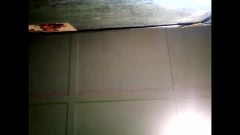 Warwick online show from 12.24.24