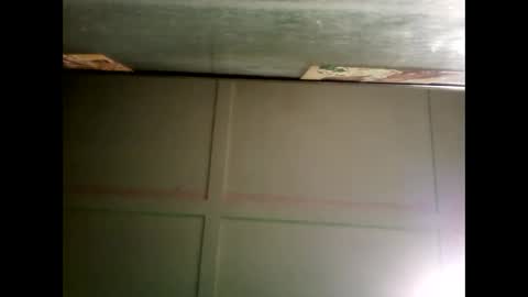 Warwick online show from 12.24.24