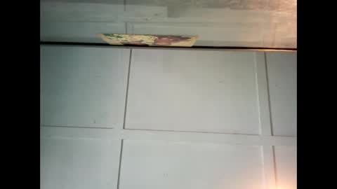 Warwick online show from 12.26.24