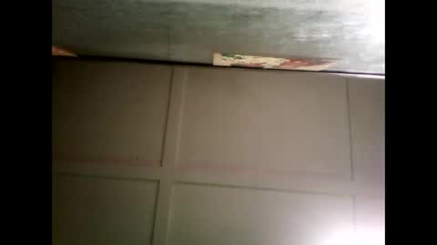 Warwick online show from 12.26.24