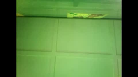 Warwick online show from 12.27.24