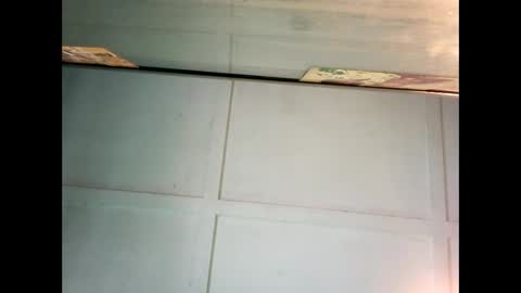 Warwick online show from 12.27.24