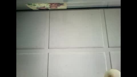 Warwick online show from 12.29.24