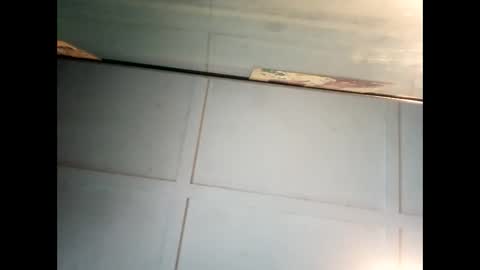 Warwick online show from 01.06.25