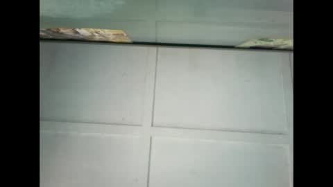 Warwick online show from 01.09.25