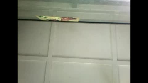 Warwick online show from 01.14.25