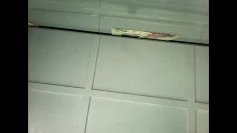 Warwick online show from 01.18.25