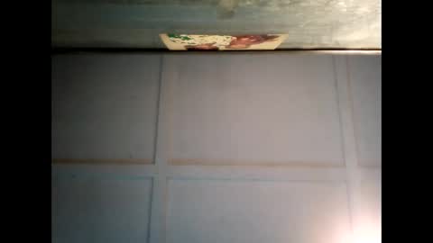 Warwick online show from 01.28.25