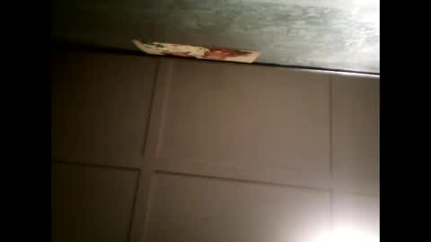 Warwick online show from 01.30.25