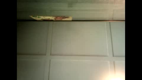 Warwick online show from 01.31.25