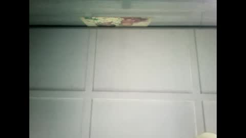 Warwick online show from 02.02.25