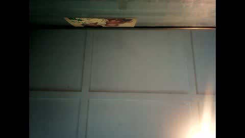 Warwick online show from 02.03.25