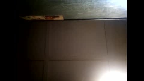 Warwick online show from 02.08.25