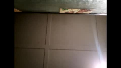 Warwick online show from 02.10.25