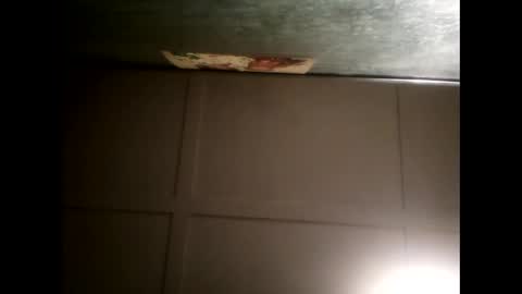 Warwick online show from 02.13.25