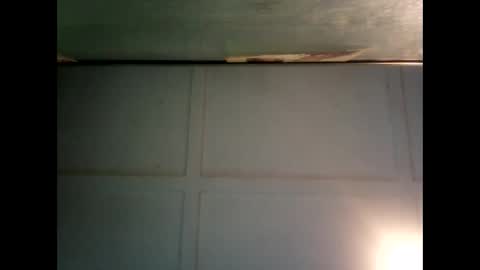 Warwick online show from 02.16.25