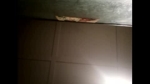 Warwick online show from 02.20.25