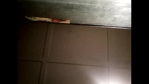 Warwick online show from 02.21.25