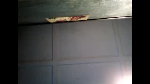 Warwick online show from 02.22.25