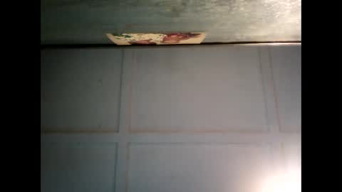 Warwick online show from 02.24.25