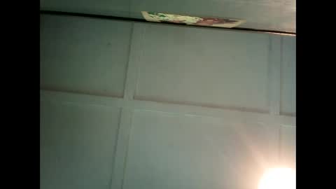 Warwick online show from 02.25.25