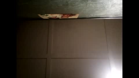 Warwick online show from 02.28.25