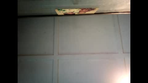 Warwick online show from 03.03.25