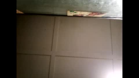 Warwick online show from 03.03.25