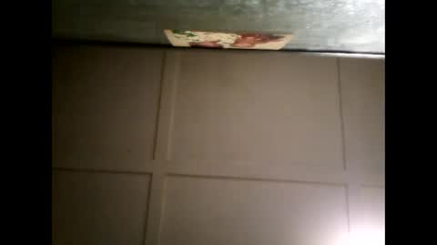 Warwick online show from 03.04.25