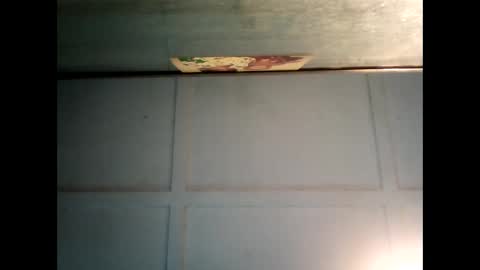 Warwick online show from 03.10.25