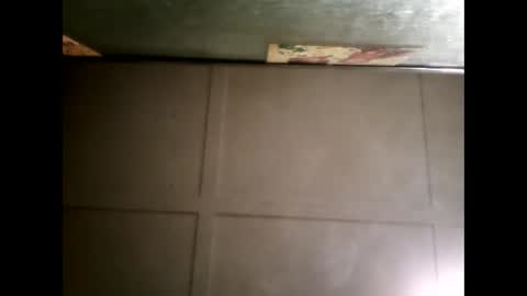 Warwick online show from 03.12.25