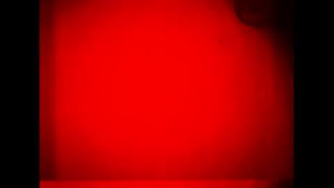 Warwick online show from 09.16.25