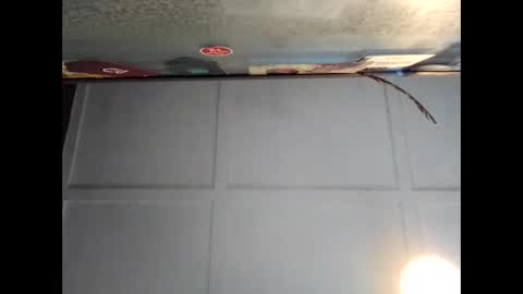 Warwick online show from 09.20.25