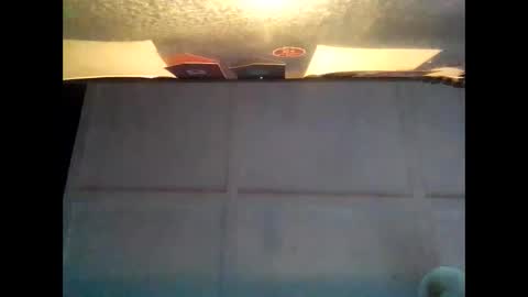 Warwick online show from 10.05.25