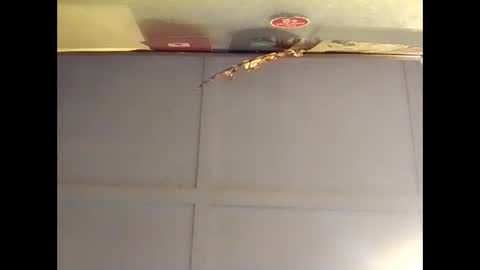 Warwick online show from 10.16.25